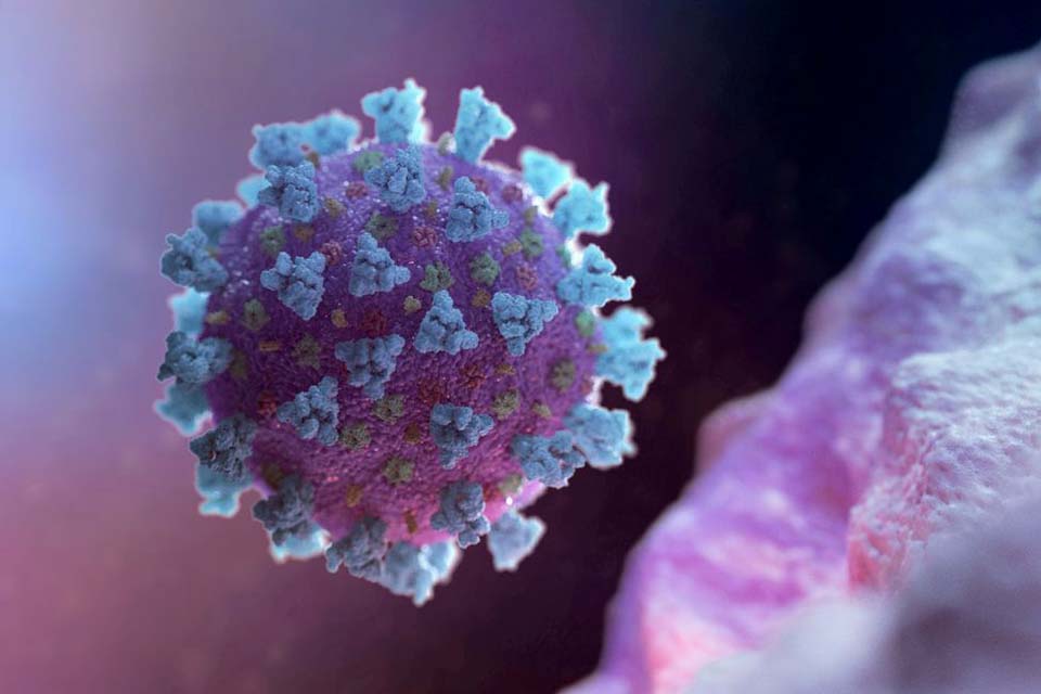 Estudo: anticorpos de quem teve covid-19 não protegem contra variante