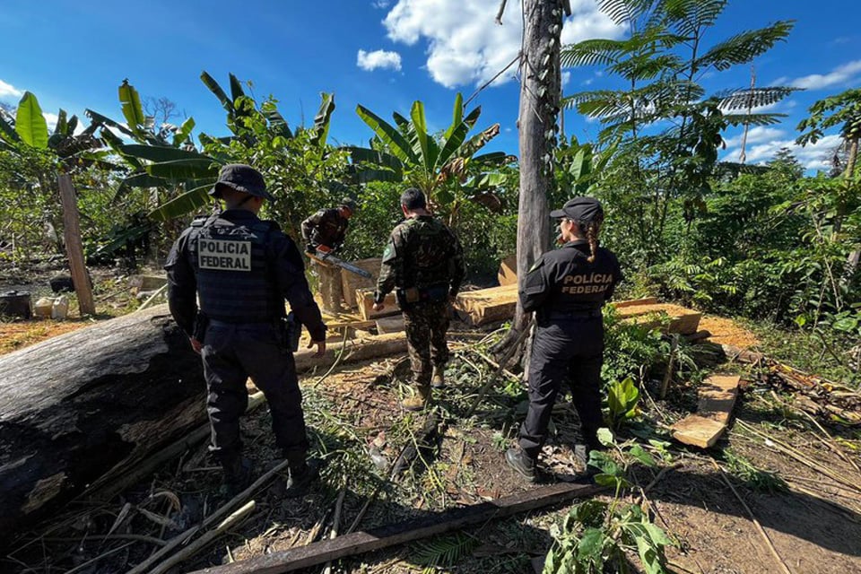 PF deflagra operação contra grilagem e incêndio criminoso em terra indígena em Rondônia