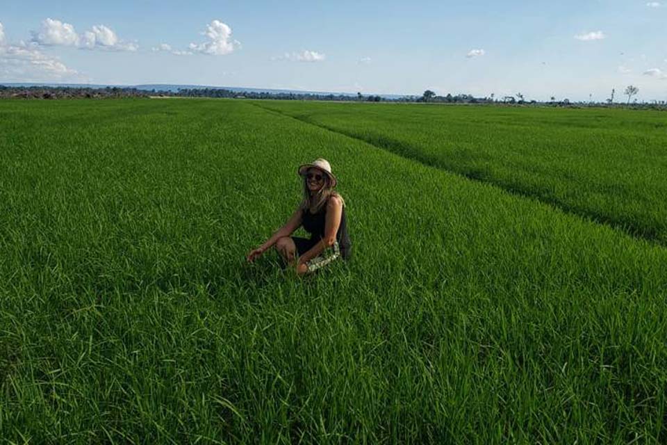 Agricultor aposta no cultivo de arroz; primeira safra será colhida em abril