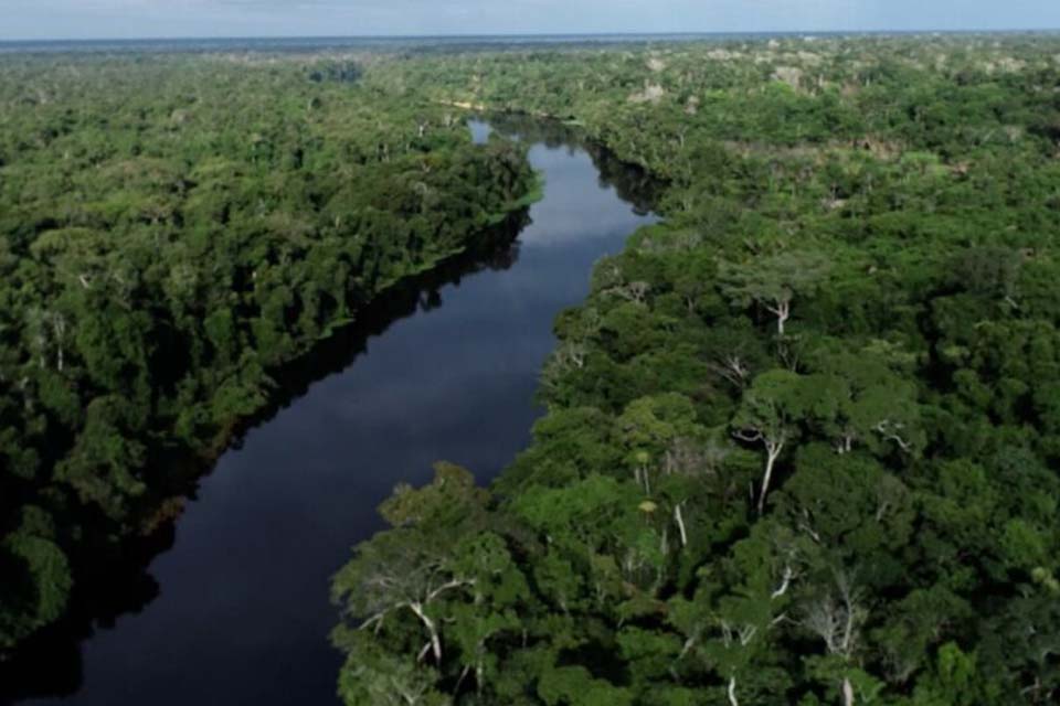 Relatório Anual aponta redução de mais de 70% no desmatamento em Rondônia