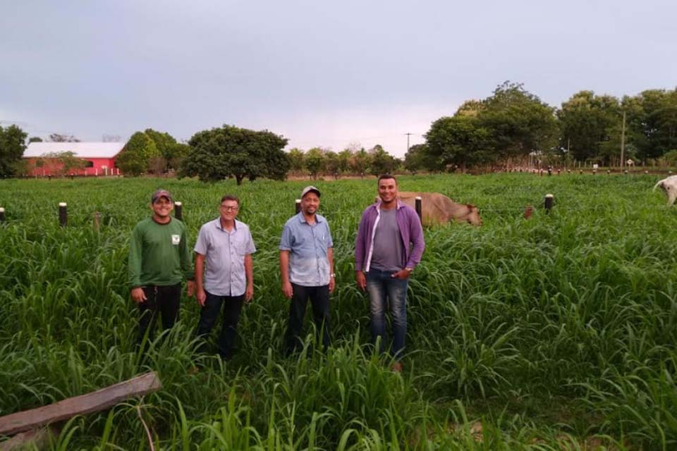 Secretaria de Agricultura implanta pastejo rotacionado no Cerna