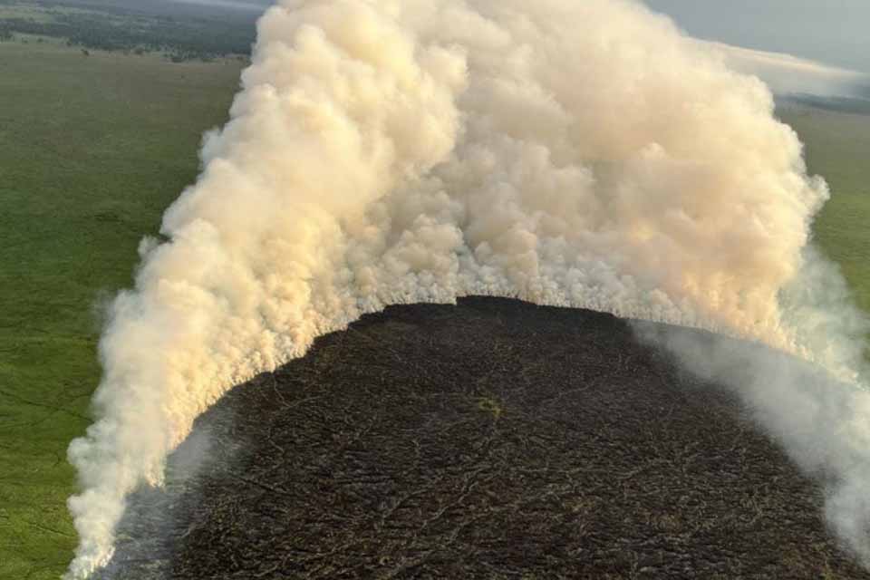 “A gente cuida da reserva para o governo, em troca de nada”, diz extrativista do Quilombo Pedras Negras em Rondônia