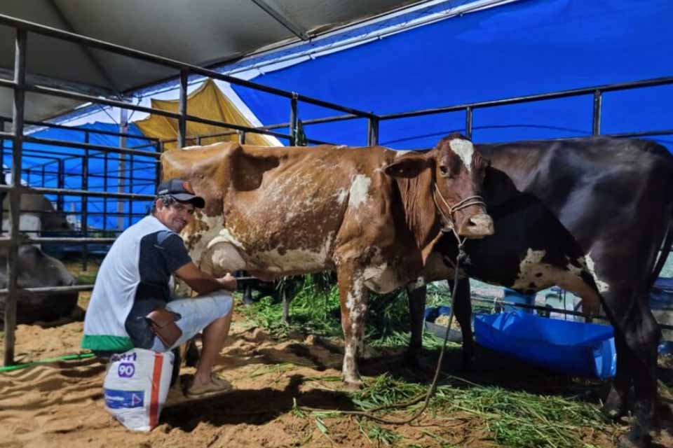 Governo de Rondônia impulsiona pecuária leiteira com assistência técnica e incentivo à produtividade