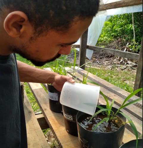 UNIR pesquisa uso de pó de rocha como fertilizante