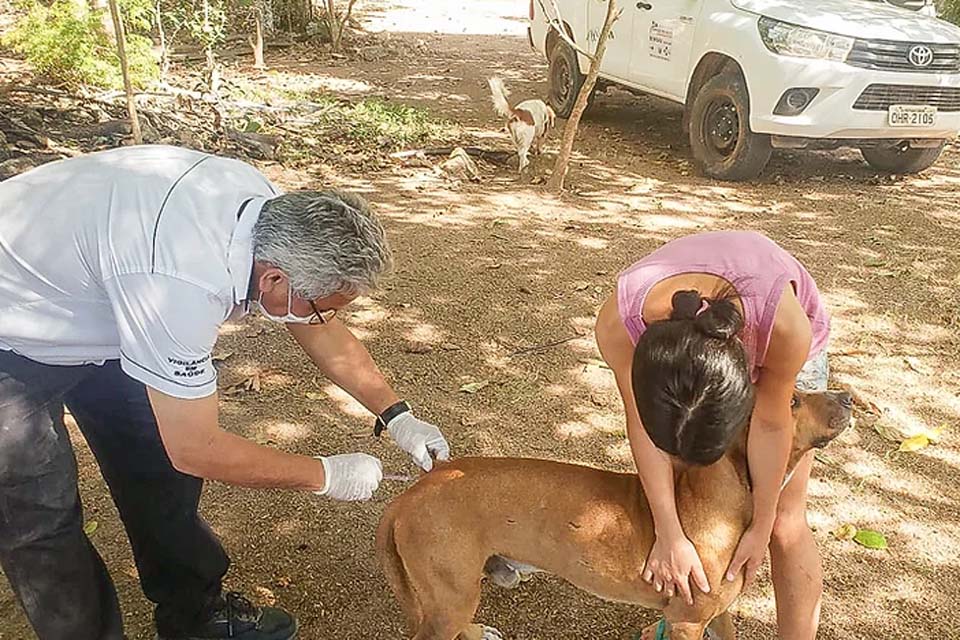 Prefeitura realiza campanha de Vacinação Antirrábica na zona rural