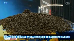 Abelhas invadem a Times Square em Nova Iorque