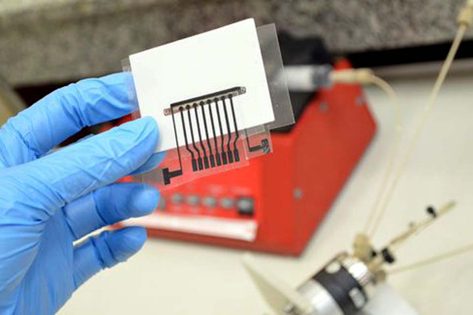 Alzheimer: identificados 42 genes para conhecer melhor a doença