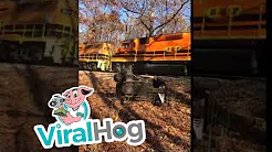 Carro tenta passar por trilho e acaba arrastado por trem 