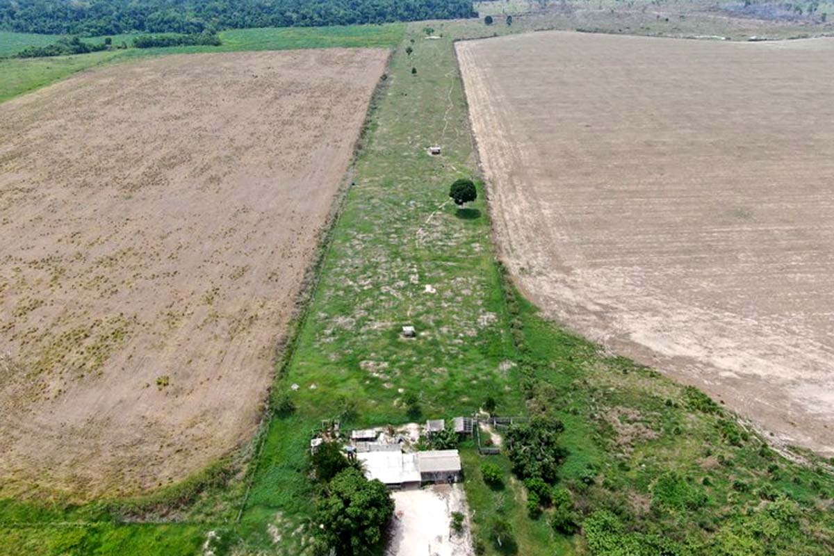 MPF processa produtores de soja por contaminação de indígenas e degradação ambiental em Seringueiras 
