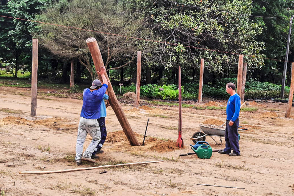 Secretaria de Obras e Serviços Públicos constrói estufa no Viveiro Municipal