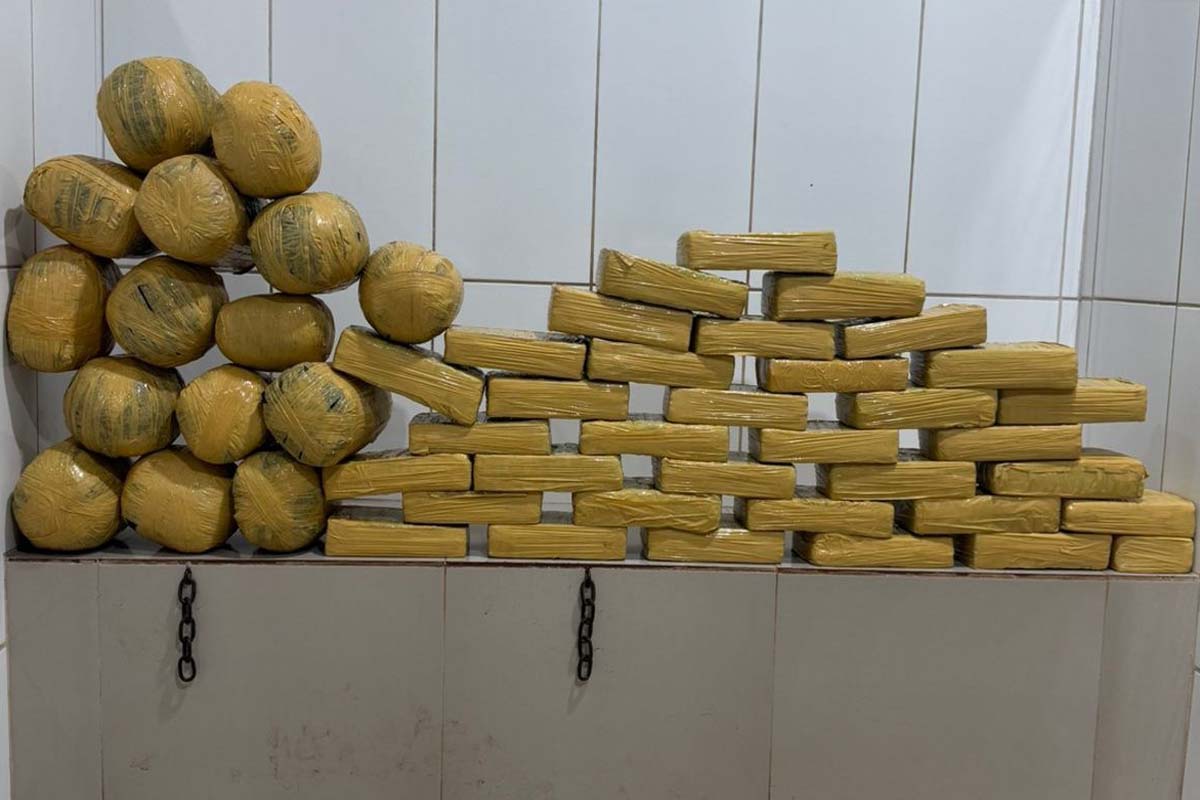 Polícia Militar apreende aproximadamente 54 quilos de maconha em Cacoal