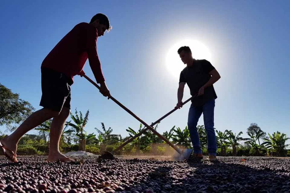Ações da Emater são fortalecidas pelo governo de Rondônia com unificação de fundos para o setor agropecuário