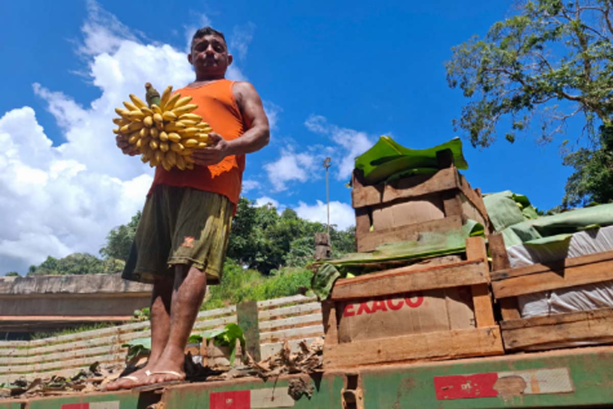 Transporte gratuito da produção beneficia centenas de agricultores familiares no primeiro semestre de 2026