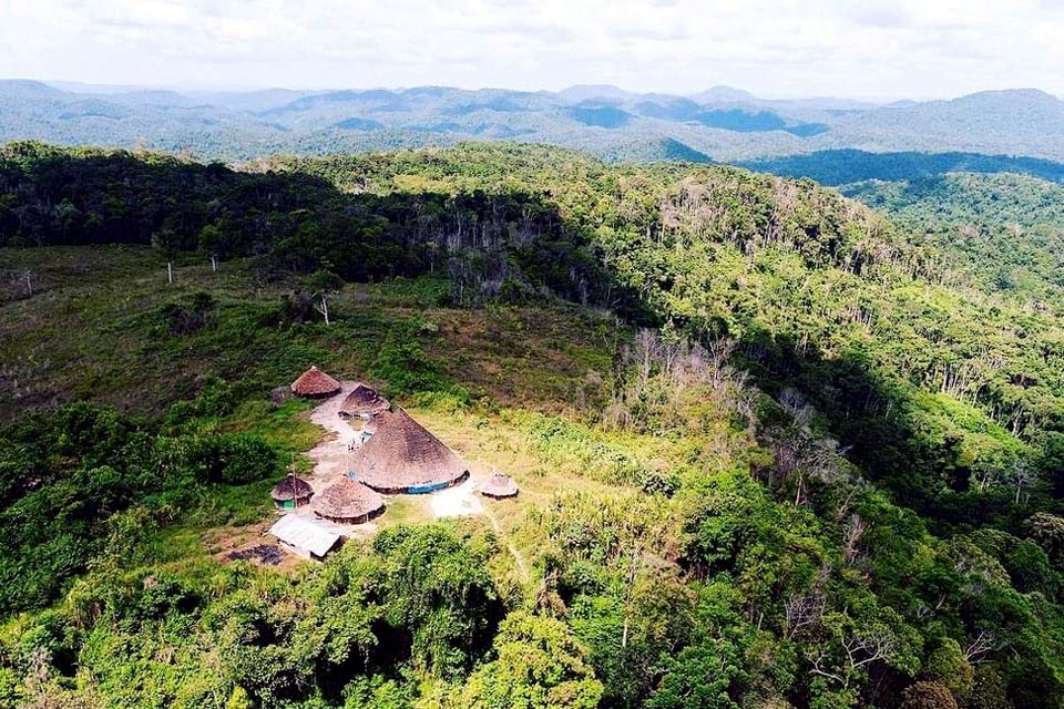 Conselho relata morte de crianças Yanomami com sintomas de Covid