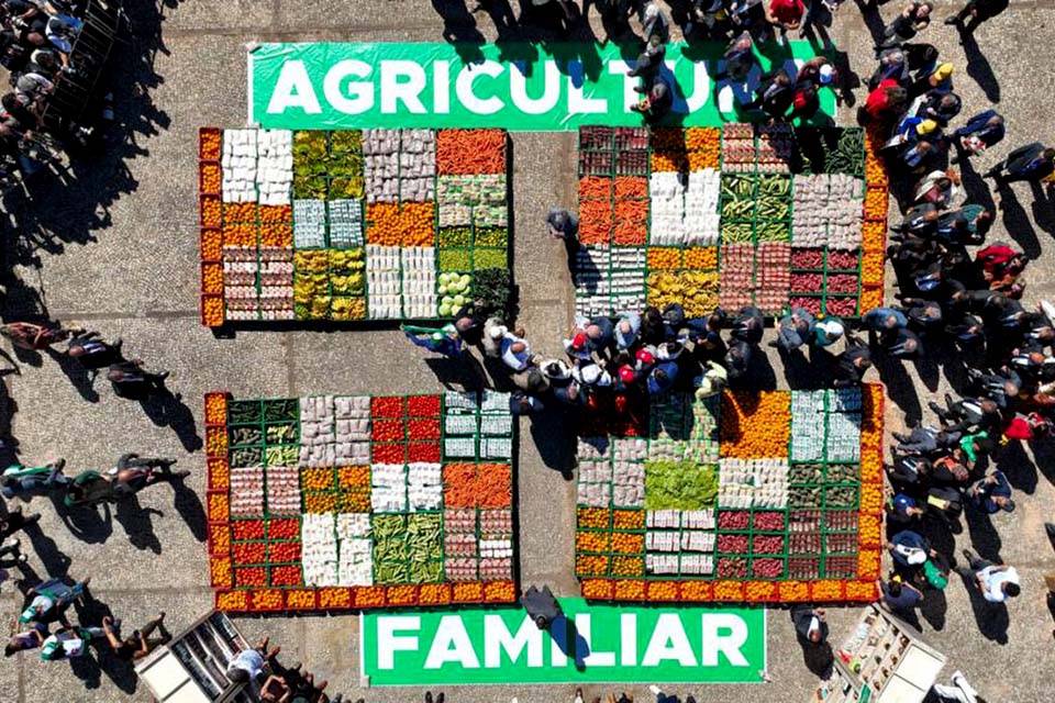 Banco do Brasil vai ofertar R$ 240 bilhões no Plano Safra 2023/2024