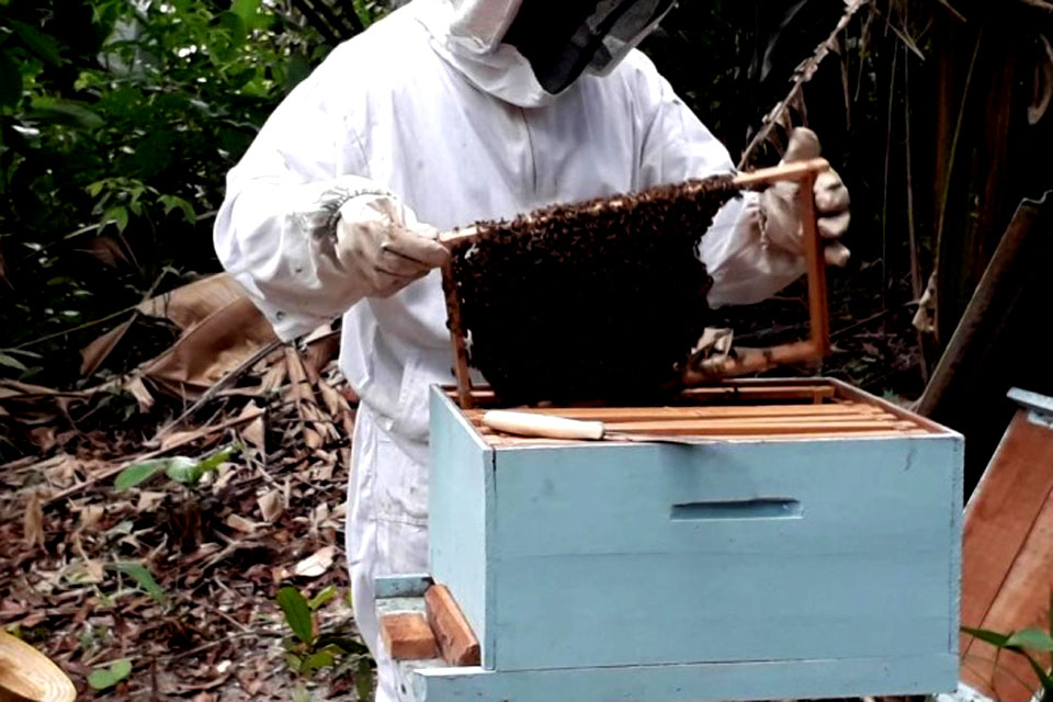 Semagric realiza primeira etapa do Curso de Iniciação à Apicultura
