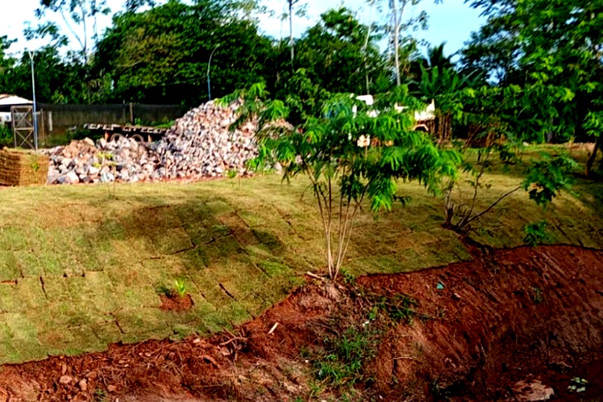 Semma inicia ação de limpeza e revitalização de Área de Preservação Permanente