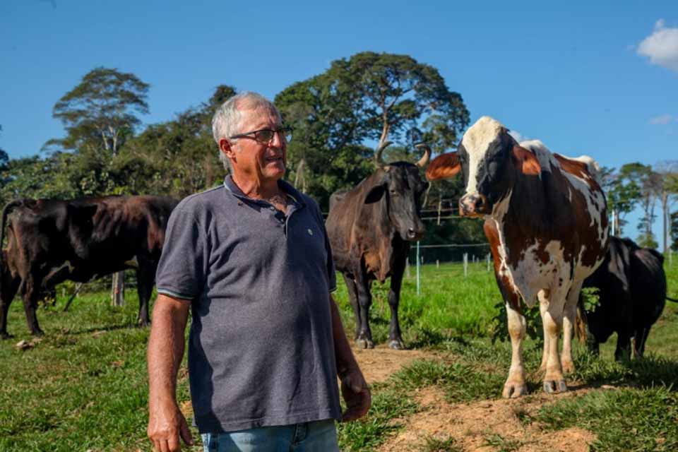 Vacas produzem mais leite em Rondônia com alimentação diferenciada e mudam realidade do campo