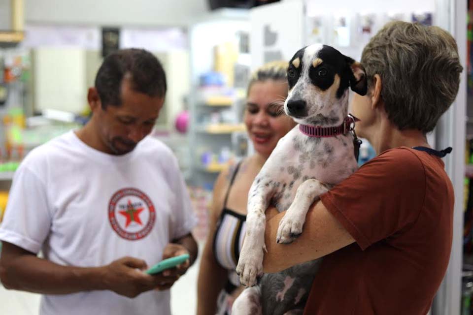 Campanha “Adote um Pet” em Ji-Paranáincentiva o acolhimento de cães e gatos