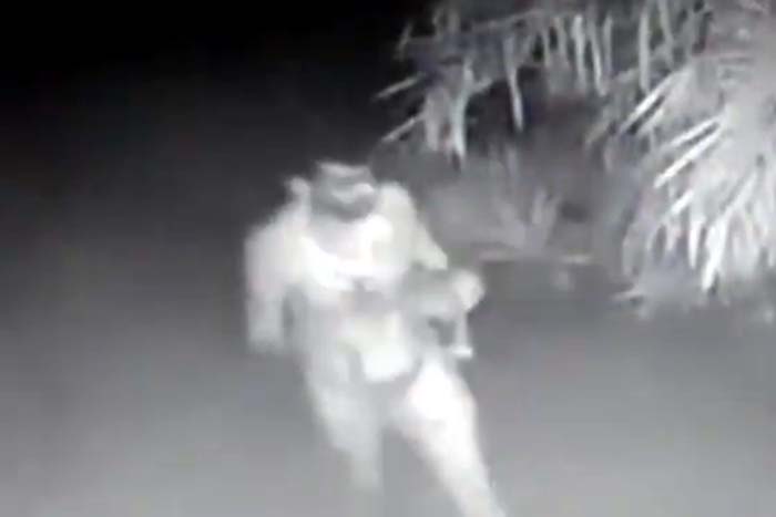 Homem é flagrado furtado e vestindo calcinha de mulher 