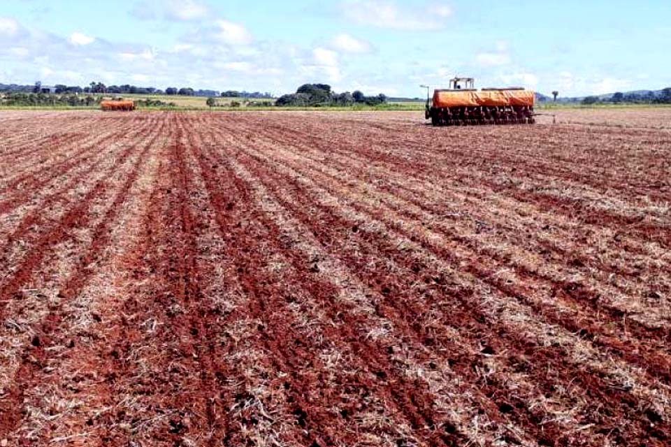 Problemas climáticos atrasam plantio de soja e produtores revivem drama de 2015 na região
