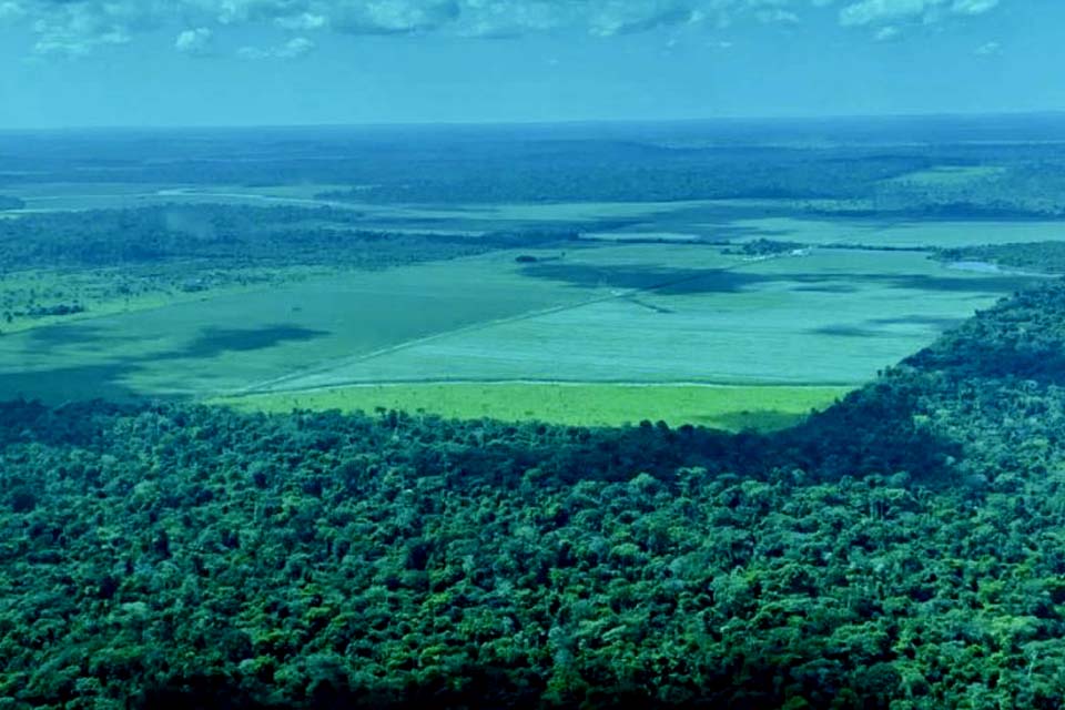 Petrobras comprará R$ 450 milhões em créditos de carbono na Amazônia