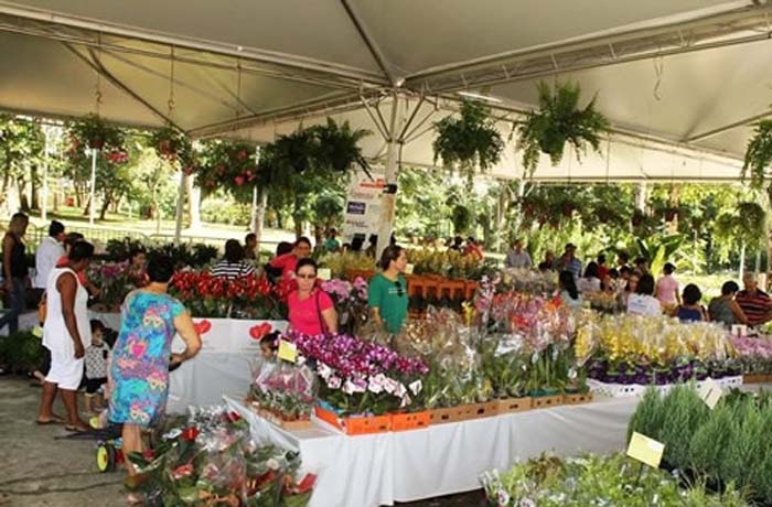 IX Festival de Flores de Holambra ocorre no Parque do Bosque Municipal