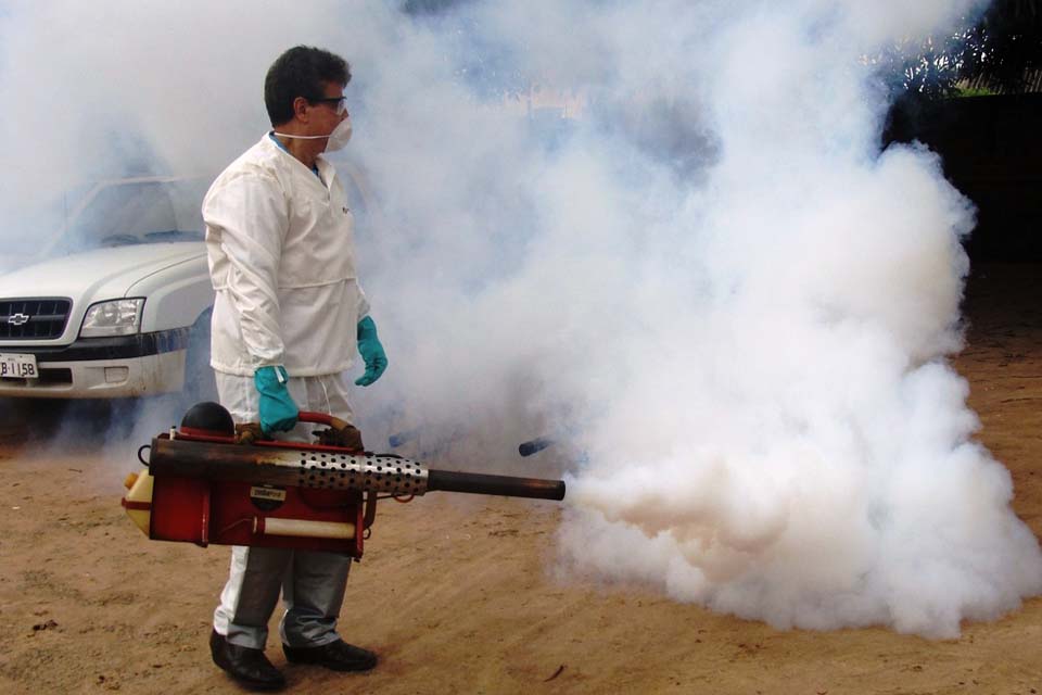 Em tempos de isolamento, eliminação de criadouros domésticos é essencial contra dengue, zika e chikungunya em Rondônia