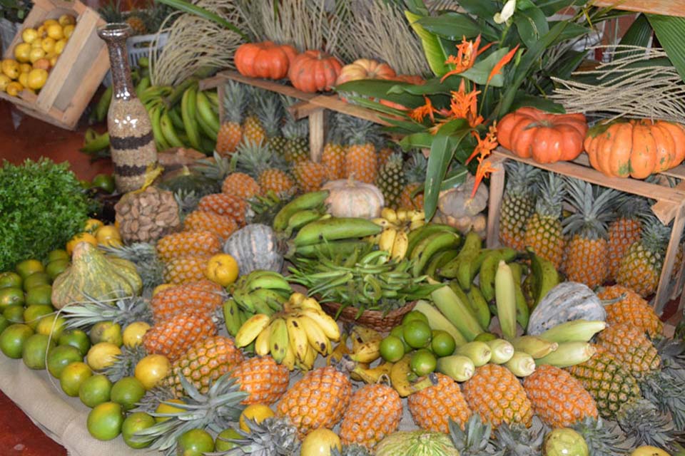 Programa Estadual de Aquisição de Alimentos do Governo de Rondônia atende municípios do Estado