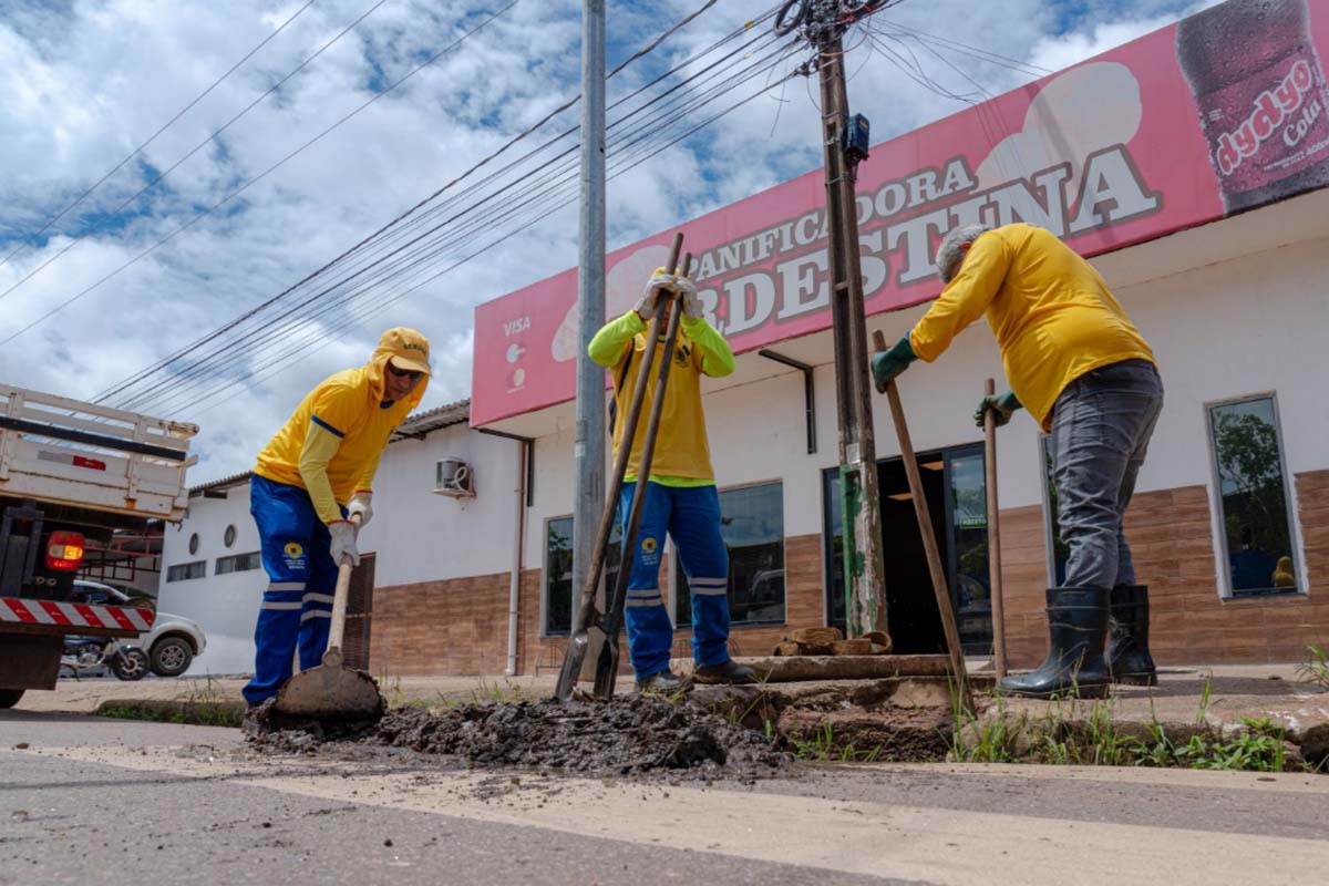 Mutirão de limpeza e roçagem atende mais quatro avenidas da capital