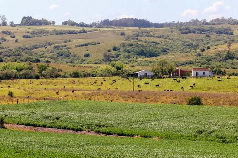 Pampa é o bioma brasileiro menos protegido por unidades de conservação