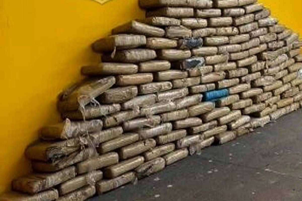 PRF prende homem com quase 168 kg de skunk na BR-174 em Vilhena