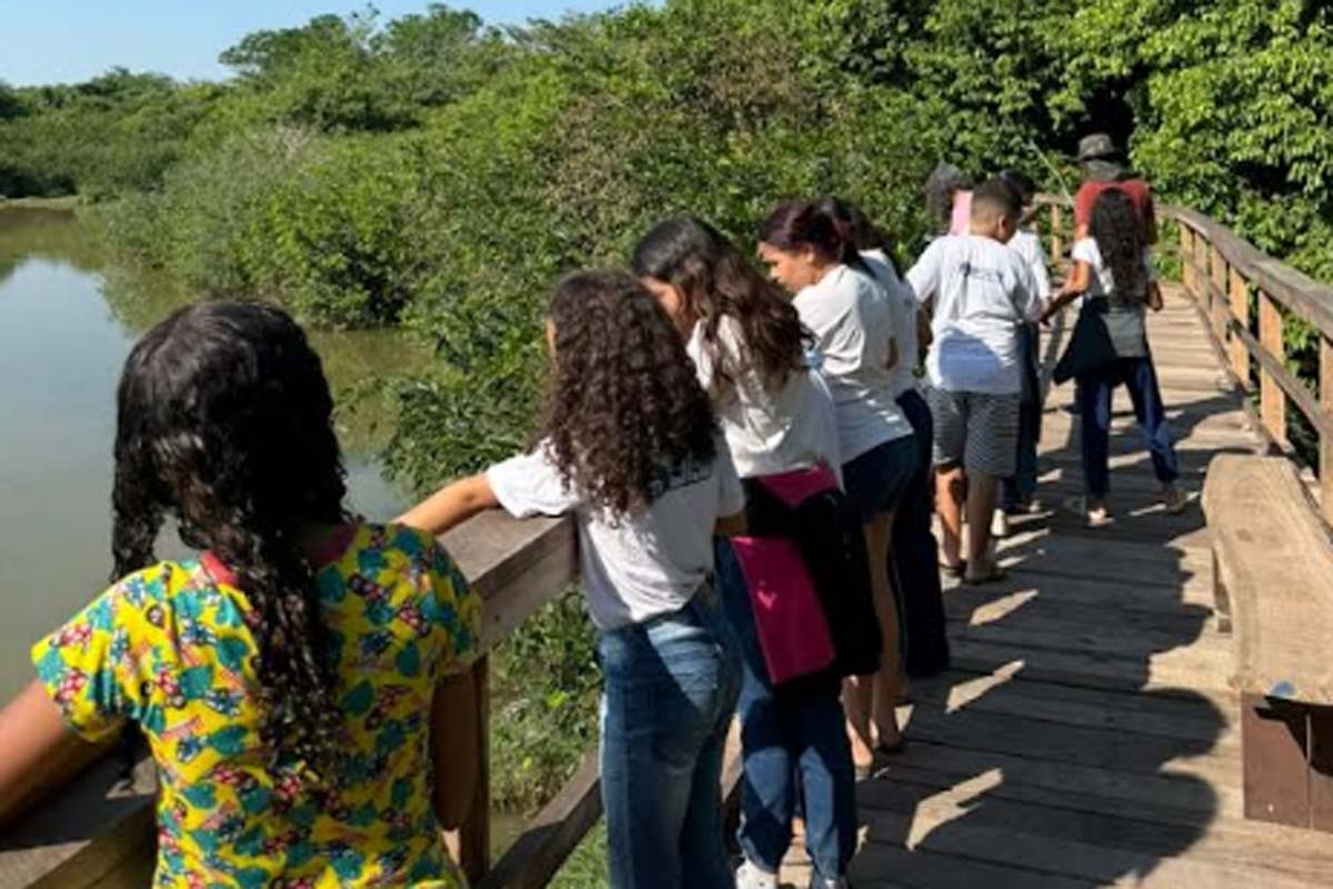 Alunos da Escola Jamil Vilas Boas participam de aula de Educação Ambiental em meio à natureza