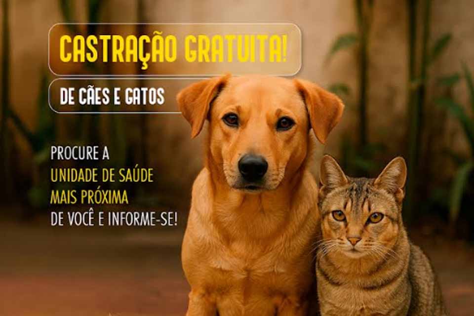 Prefeitura de Jaru encerrará inscrições no programa Castração Cidadã na próxima segunda-feira (19)