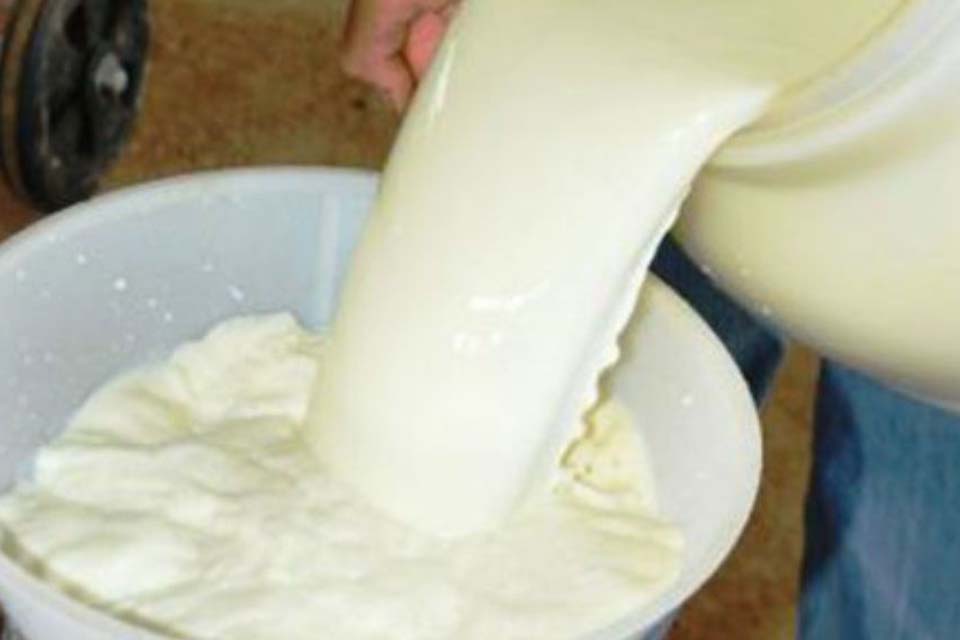 Porto Velho recebe 1º Fórum+Leite RO durante a feira tecnológica