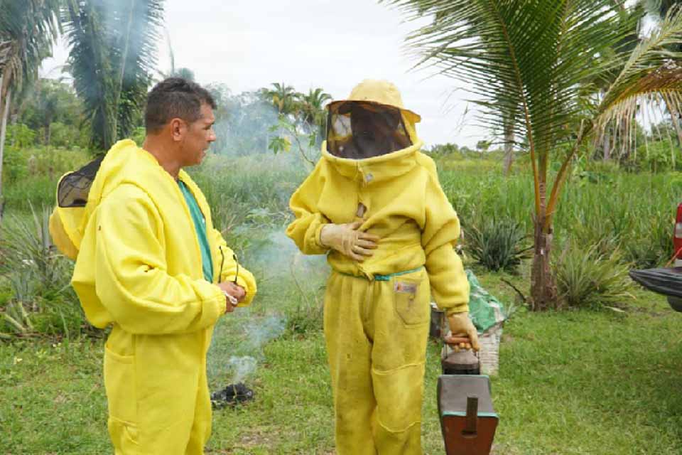 Prefeitura de Porto Velho reforça preservação das abelhas com remoção segura na Av. Jorge Teixeira