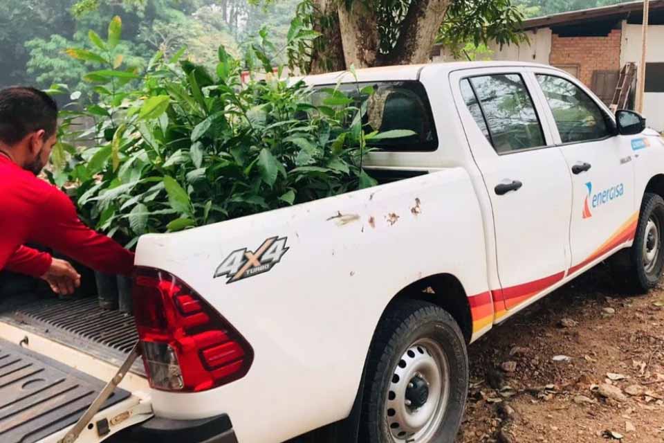 Ações de sustentabilidade da Energisa têm garantido cuidado com o meio ambiente em Rondônia