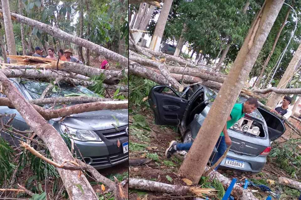 Vendaval em Ministro Andreazza derruba árvore e deixa duas pessoas em estado grave