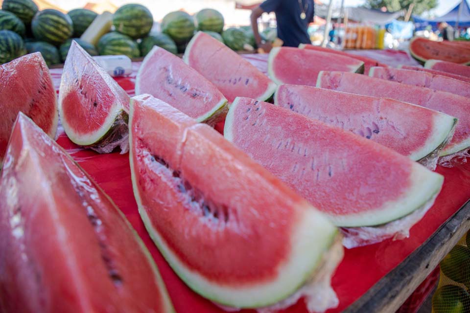 “Dia de Campo” sobre o plantio de melancia acontece nesta sexta-feira (8)