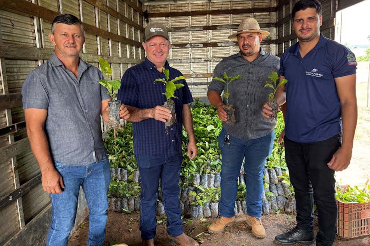 Emendas do deputado Pedro Fernandes fortalecem produção com entrega de mudas de café em Rondônia