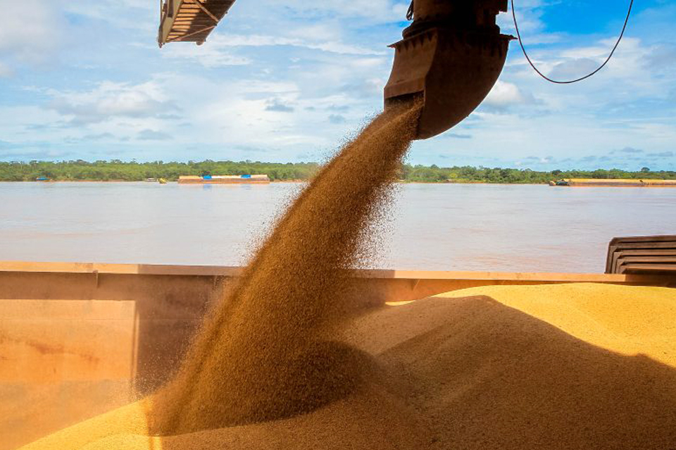 Economia robusta de Rondônia prejudicada com a longa estiagem na região norte