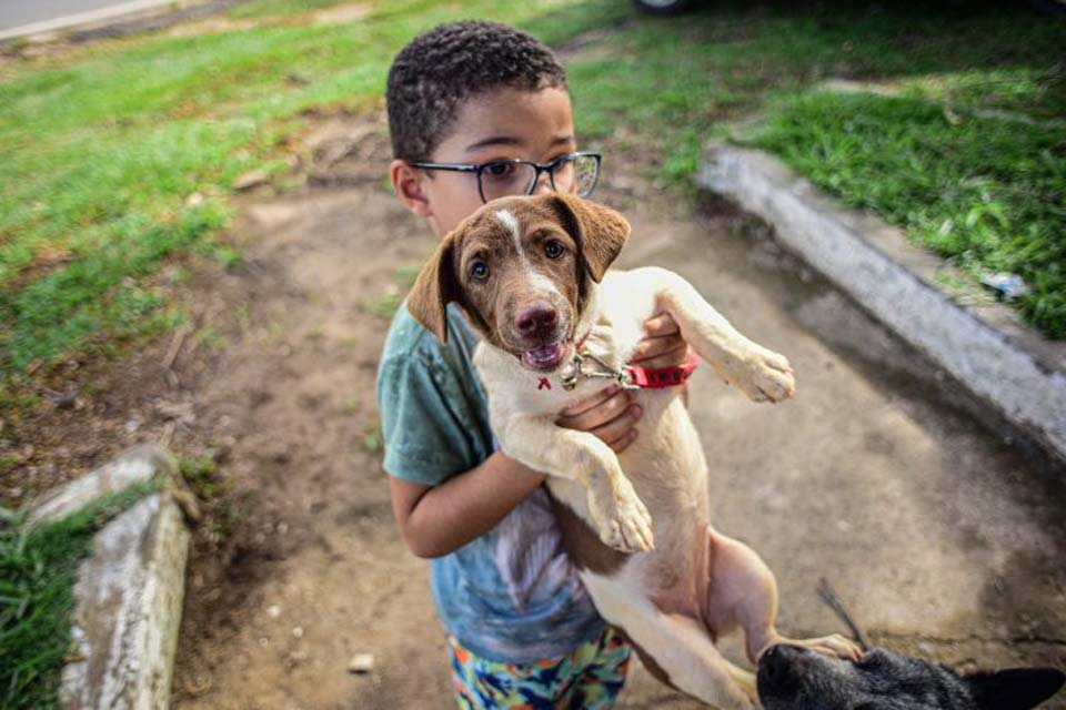 Campanha no 2º distrito imuniza 10 mil animais contra a raiva