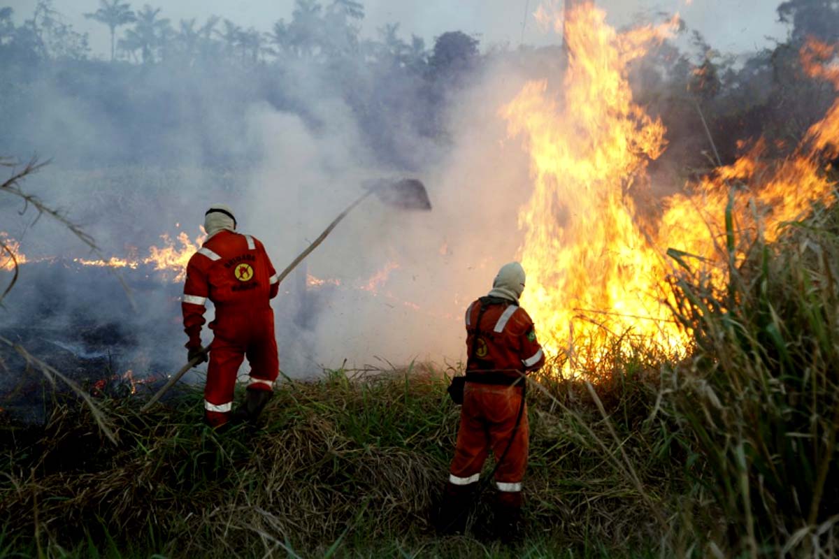 Deputados aprovam R$ 29,57 milhões para combate a incêndios em Rondônia; crédito contempla viaturas, combustíveis e equipes