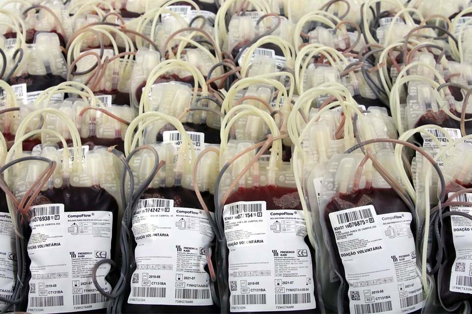 Dia Mundial da Hemofilia: condição genética dificulta coagulação