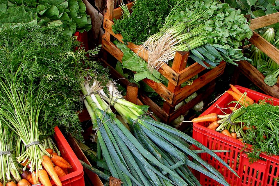 Câmara aprova recriação de Programa de Aquisição de Alimentos