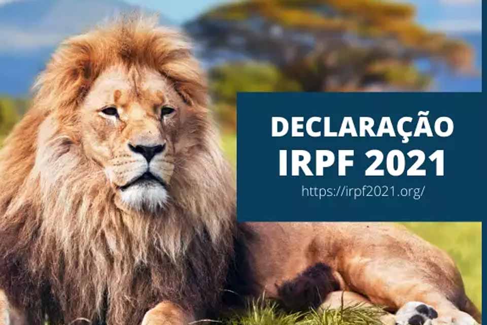 Divulgadas as regras sobre a entrega da Declaração do Imposto de Renda da Pessoa Física 2021