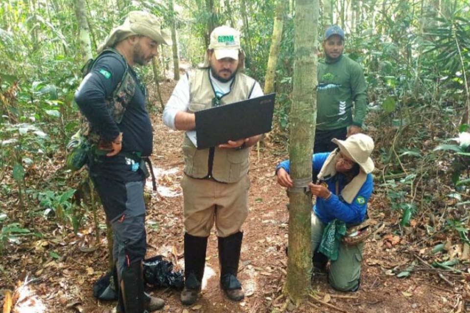 Estratégias de monitoramento do Governo de RO revelam presença de espécie rara em reserva estadual