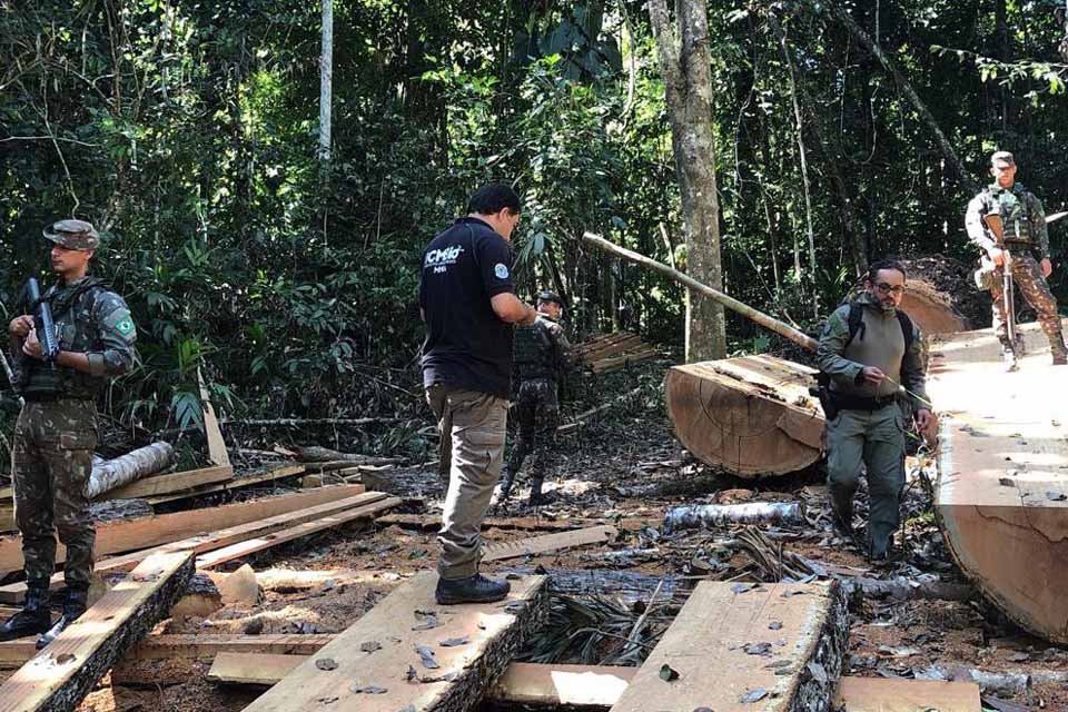 Operação Curaretinga vai além da luta contra crimes ambientais e tráfico