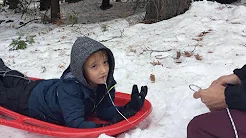 Menino de 6 anos usa trenó para arrancar dente mole 
