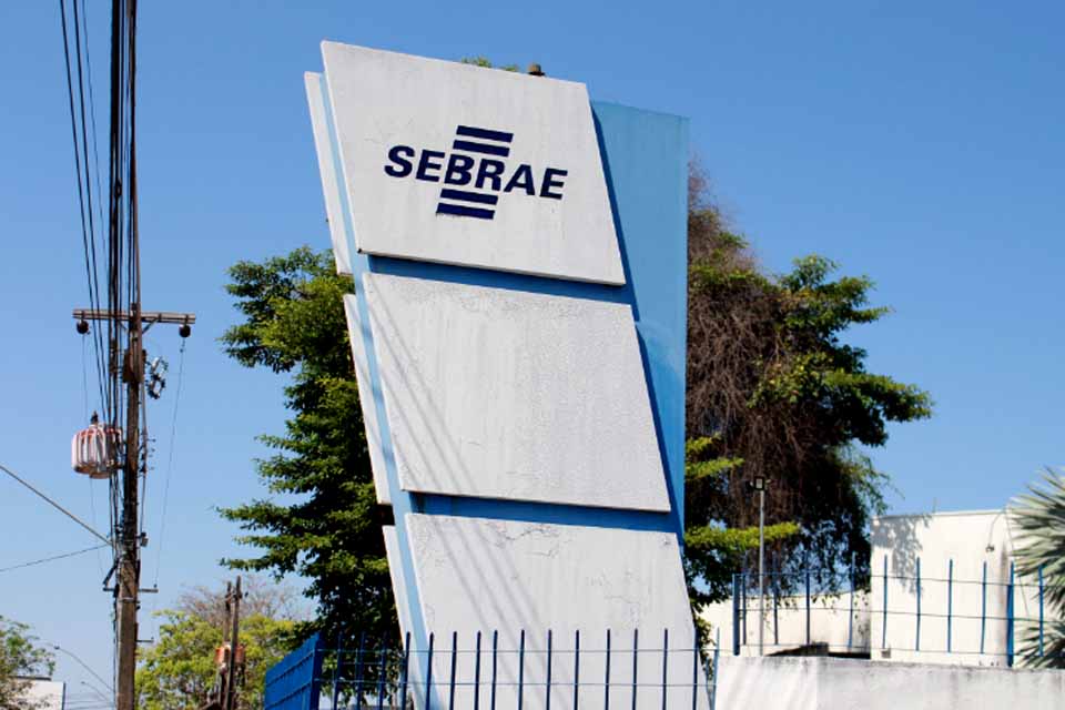 Pequenos negócios lideram geração de empregos no Brasil e em Rondônia